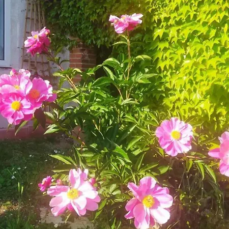 Ressourcez-vous Dans Cette Ferme Avec Cheminee, Jardin, Terrasse Couverte Et Equipements Modernes - Fr-1-489-435